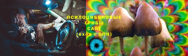PSILOCYBIN Абинск