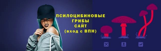 PSILOCYBIN Абинск