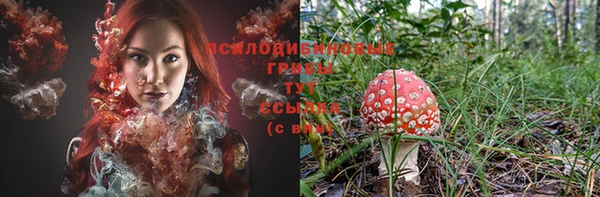 ПСИЛОЦИБИНОВЫЕ ГРИБЫ Абаза