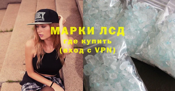 ПСИЛОЦИБИНОВЫЕ ГРИБЫ Абаза